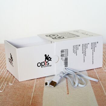 Opis Radio 2 - Petite Enceinte Bluetooth Rétro en Bois et Radio UHF (Noyer) 8