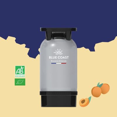 Barril de Cerveza Artesanal Blanca con Albaricoque - 30L - ECOLÓGICA - Head S - 5.3%