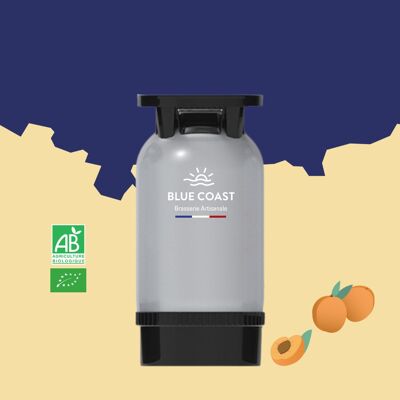 White Craft Beer Keg with Apricot - 30L - ORGANIC - Head S - 5.3%