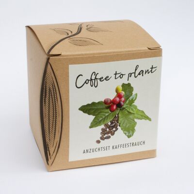 "Coffee-to-Plant" growing set