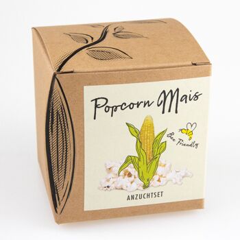 Kit de culture "Maïs Popcorn" 1