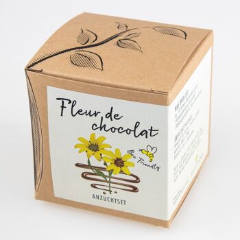 Coffret de culture Fleur de chocolat 2