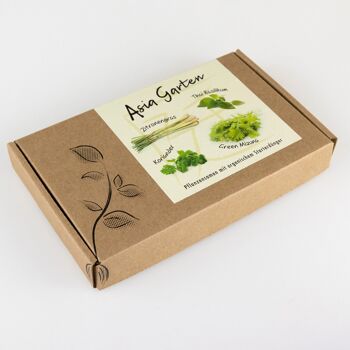 Coffret Graines de Plantes "Jardin d'Asie" 2