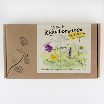 Pflanzensamen-Geschenkbox "Duftende Kräuterwiese"