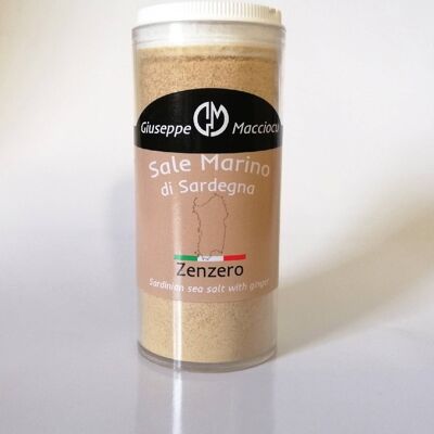 Sea salt of Sardinia + grinded ginger 130gr spreader