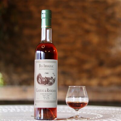 Bas Armagnac 1981 - 50cl