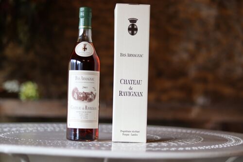 Bas Armagnac 2003 - 70cl