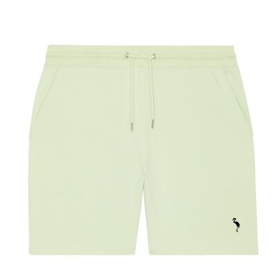 Comfort Light Mint Shorts
