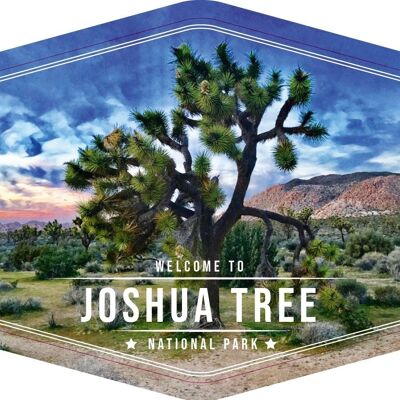 Aimant Frigo Joshua Tree - Parc National