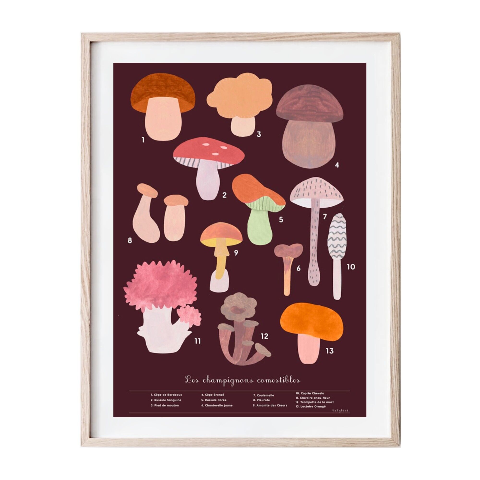 Poster Fungo A3 - Set di 5 poster