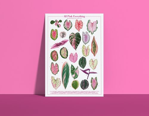 Plantspecies Poster "All Pink Everything" DIN A4
