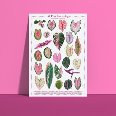 Póster Plantspecies "All Pink Everything" DIN A4