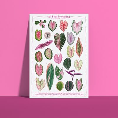 Poster di specie vegetali "Tutto rosa tutto" DIN A4