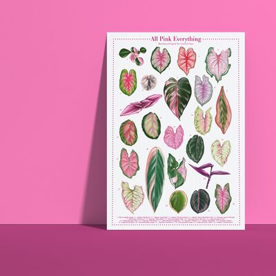 Poster di specie vegetali "Tutto rosa tutto" DIN A4