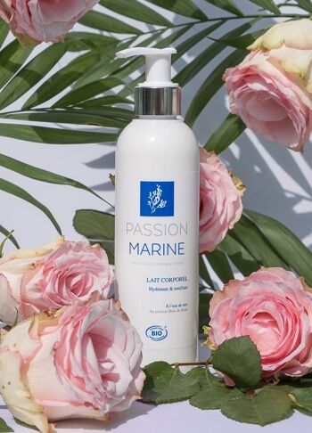 Lait corps Hydratant & Tonifiant à l'eau de mer et au parfum bois de rose 2