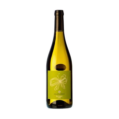 Volaina 2018, vin blanc, parellada. Biodynamique et vegan