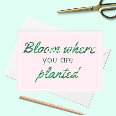 Blühen Sie, wo Sie Grußkarte gepflanzt werden