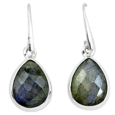 “Majesty and Intuition” earrings in Labradorite