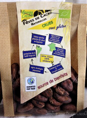 Sachet fèves de cacao crues 100g 1