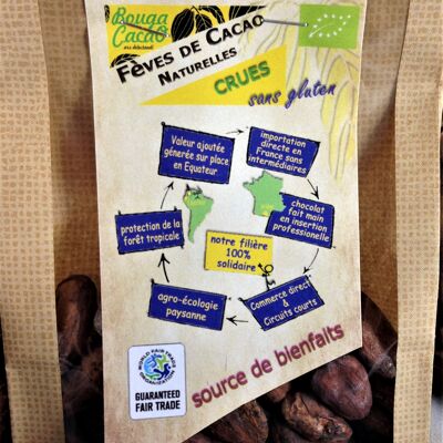 Bag of raw cocoa beans 100g
