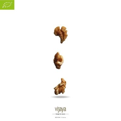 DRIED FRUITS / Walnuts Cerneaux Extra Invalides - FRANCE - Vacuum Packed - 2 x 5 kg - Organic* (*Certified Organic by FR-BIO-10)