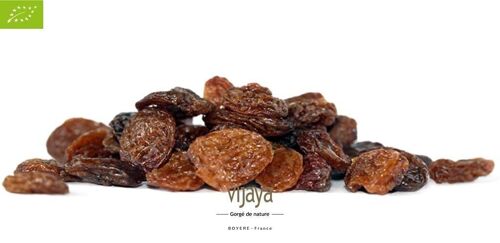 FRUITS SECS / Raisin Sultanine - TURQUIE - 5 kg - Bio* (*Certifié Bio par FR-BIO-10)