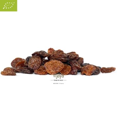 FRUTTA SECCA / Uvetta Sultanina Sfusa - Turchia - 5 kg - Biologica* (*Certificata biologica da FR-BIO-10)