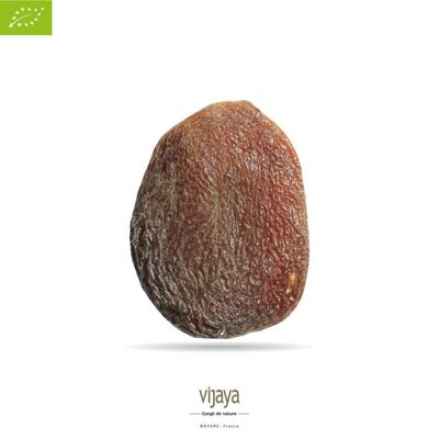 DRIED FRUITS / Brown Apricot - Whole - Size 1 - TURKEY - 5 kg - Organic* & Fair Trade (*Certified Organic by FR-BIO-10)