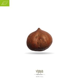 FRUITS SECS / Noisette Décortiquée - ITALIE - 5 kg - Bio* (*Certifié Bio par FR-BIO-10)