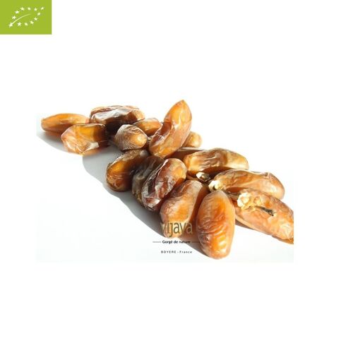 FRUITS SECS / Datte Deglet Nour Branchée Fraîche - Cat I - ALGERIE - 5Kg - Bio* (*Certifié Bio par FR-BIO-10)