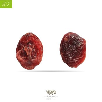 FRUITS SECS / Cranberry (Canneberge) Séchée - CANADA - 500g - Bio* (*Certifié Bio par FR-BIO-10) 2