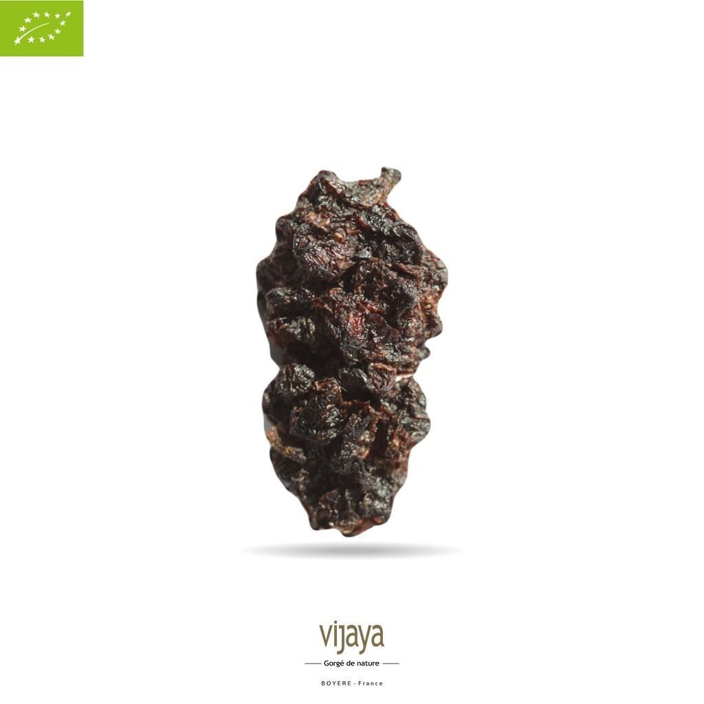 FRUITS SECS / Mûre - Mulberry Noire Séchée VRAC - OUZBEKISTAN - 5 Kg - Bio*