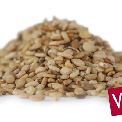 Whole White Sesame Seed - PARAGUAY - 25 kg - Organic* (*Certified Organic by FR-BIO-10)