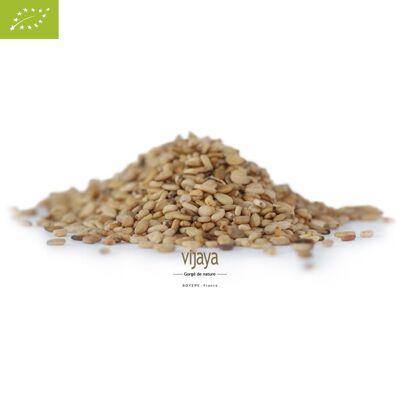 Ganze weiße Sesamsamen – BOLIVIEN/UGANDA – 5 kg – Biologisch* (*Bio-zertifiziert nach FR-BIO-10)
