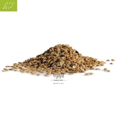Whole Toasted White Sesame Seeds - UGANDA - 5 kg - Organic* (*Certified Organic by FR-BIO-10)