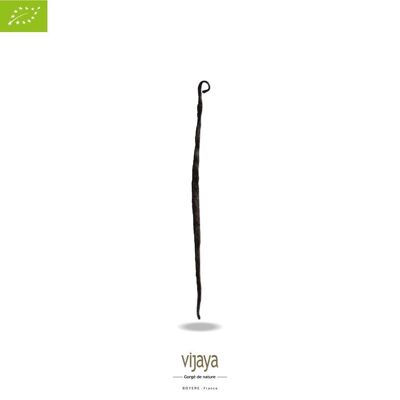 Baccelli di vaniglia Bourbon sfusi - Madagascar - 1 kg - Biologici*