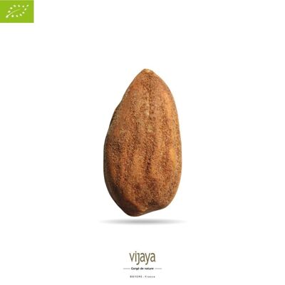 DRIED FRUITS / Shelled Almond - VIJAYA SELECTION - SICILY - 2x5 kg - Organic* (*Certified Organic by FR-BIO-10)