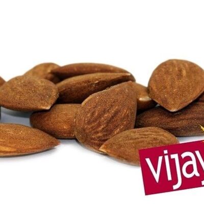DRIED FRUITS / Toasted Shelled Almond - SICILY - 5 kg - Organic* (*Certified Organic by FR-BIO-10)