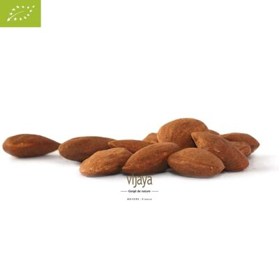 FRUITS SECS / Amande Décortiquée Toastée - SICILE - 5 kg - Bio* (*Certifié Bio par FR-BIO-10)