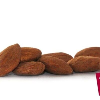 DRIED FRUITS / Toasted and Salted Shelled Almond - SICILY - 5 kg - Organic* (*Certified Organic by FR-BIO-10)
