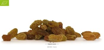 FRUITS SECS / Raisin Vert de KHOROG - OUZBEKISTAN - 500g - Bio* (*Certifié Bio par FR-BIO-10) 3