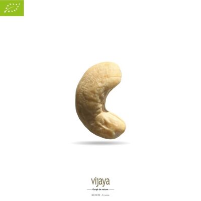 DRIED FRUITS / Whole Cashew Nuts - VIETNAM - W320 - 11.34 kg - Organic* & Fair Trade (*Certified Organic by FR-BIO-10)