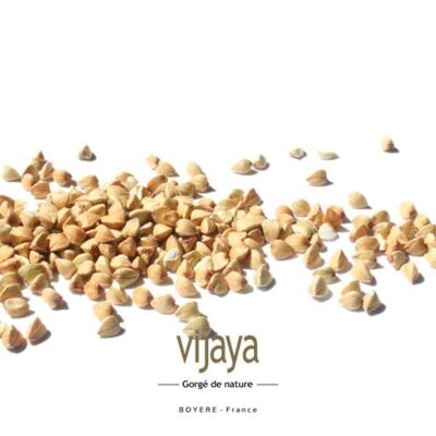 Shelled Buckwheat Seed - FRANCE - 25 Kg - Organic* (*Certified Organic by FR-BIO-10)