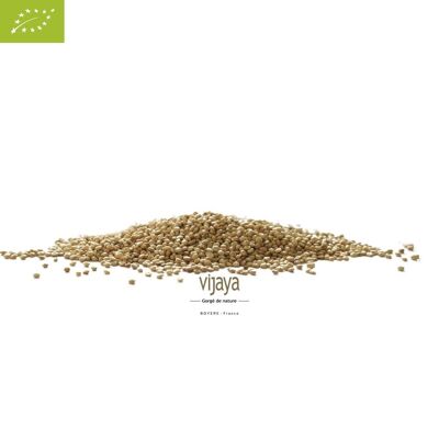 Semilla de Quinoa - FRANCIA - 25 Kg - Orgánico* (*Certificado Orgánico por FR-BIO-10)
