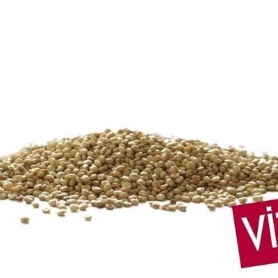 Quinoa-Samen - FRANKREICH - 5 Kg - Bio* (*Bio-zertifiziert durch FR-BIO-10)