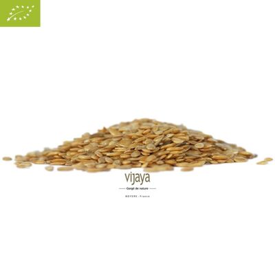 Graine de Lin Doré - FRANCE - 5 kg - Bio* (*Certifié Bio par FR-BIO-10)