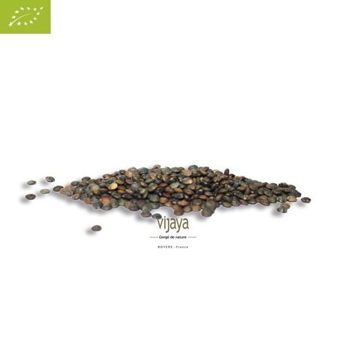 Lentille Verte - FRANCE - 25 kg - Bio* (*Certifié Bio par FR-BIO-10)
