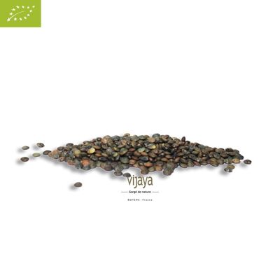 Green Lentil - FRANCE - 25 kg - Organic* (*Certified Organic by FR-BIO-10)