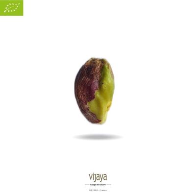 DRIED FRUITS / Raw Shelled Pistachios BULK - SPAIN - 5 kg - Organic* (*Certified Organic by FR-BIO-10)