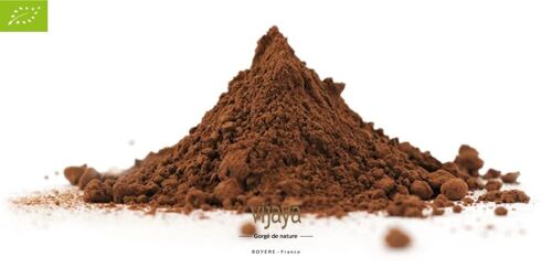 Poudre de Cacao Maigre - 10/12 - 25 kg - Bio* (*Certifié Bio par FR-BIO-10)